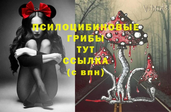 прущий лед Вязники