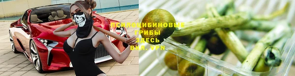 ECSTASY Вяземский