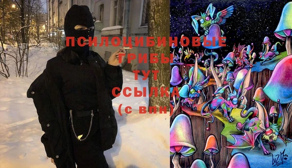 ECSTASY Вяземский