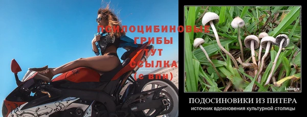 прущий лед Вязники