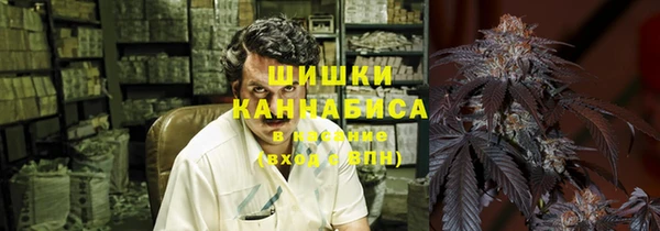 ECSTASY Вяземский